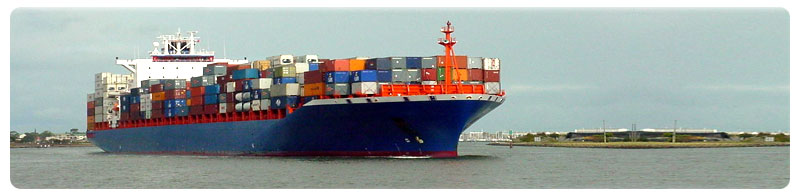 Food Grade Sodium Tripolyphosphate Supplier