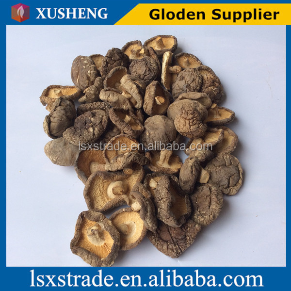 shiitake mushroom with best price (B)