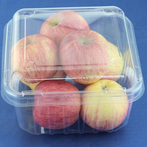 果物用使い捨てプラスチック製のデザートの容器仕入れ・メーカー・工場