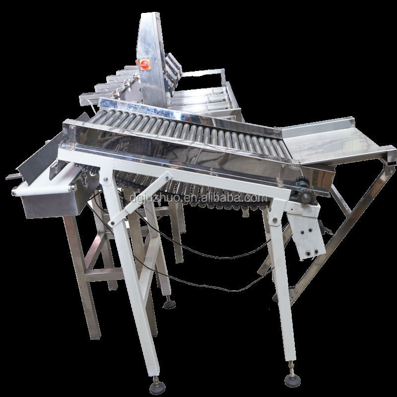 Vegetable Weighting Sorting Machine for tomato, pear, kiwi fruit, apple JZW-100g