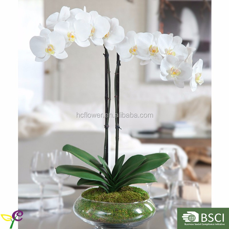 Artificial Phalaenopsis Orchid With Glass Vase Arrangement Buy