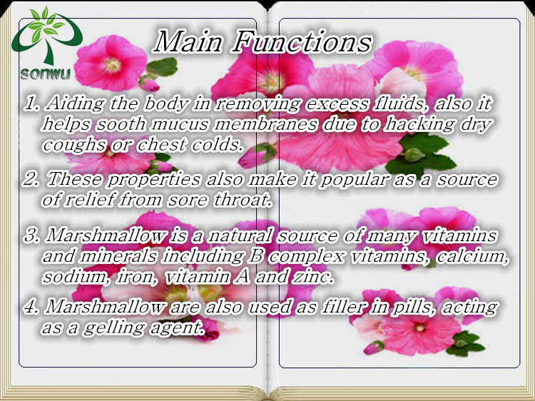 marshmallow root extract powder