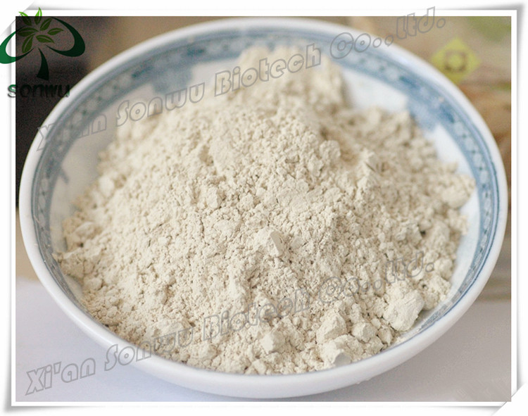 soya protein isolate/9010-10-0