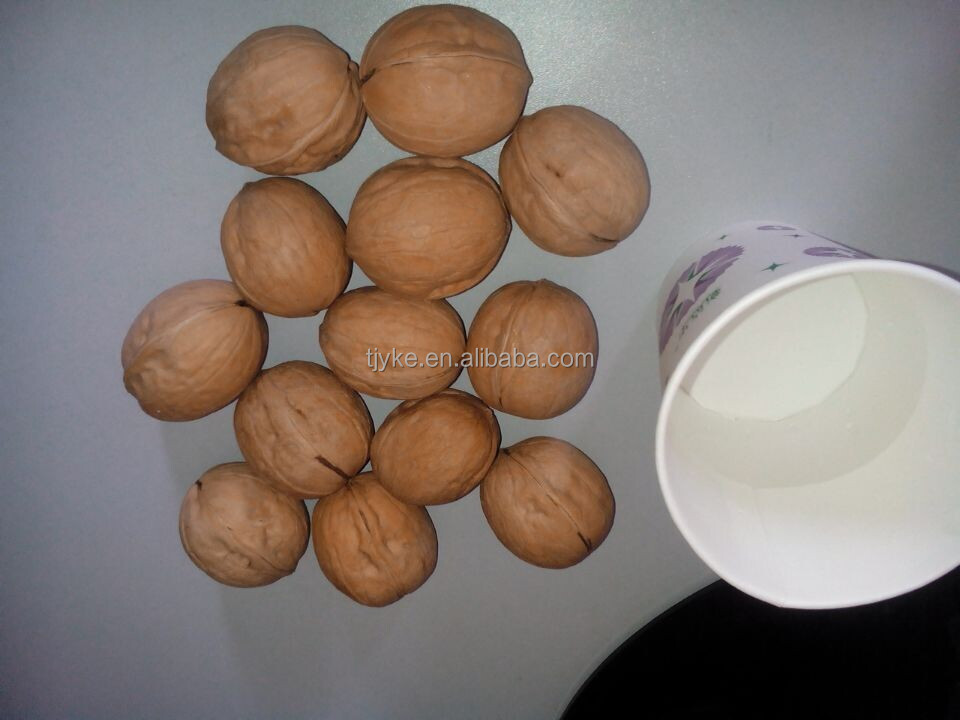 wild walnut in shell in Dongbei(30 up)