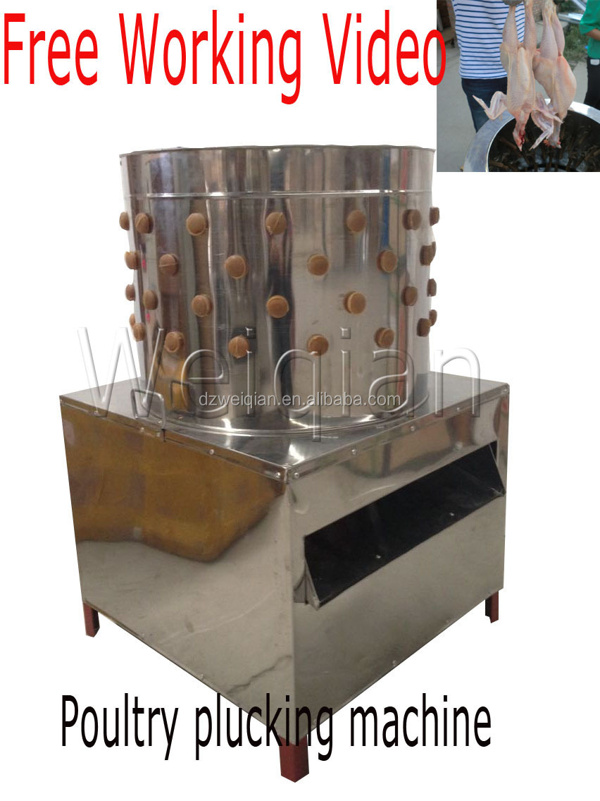 Hot Sale Automatic Poultry Chicken Feather Plucking Machine In Ireland