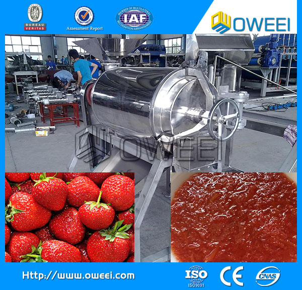 best price reliable automatic fruit pulp machine