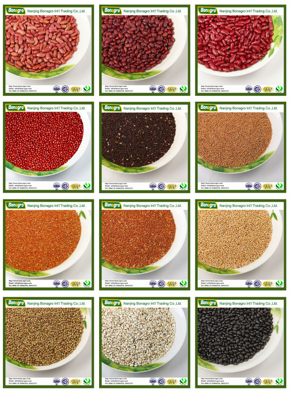 LIGHT SPECKLED KIDNEY BEAN 2014 NEW PRODUCTS CHINA SUPPLIER