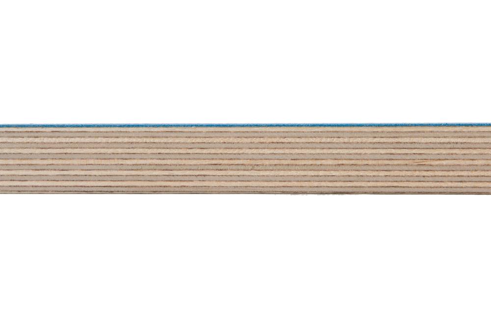 birch 03