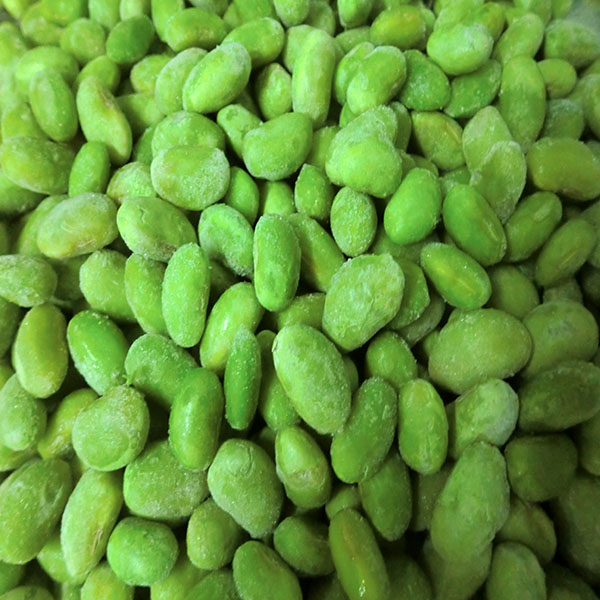 2014 frozen bean sprout factory wholesale
