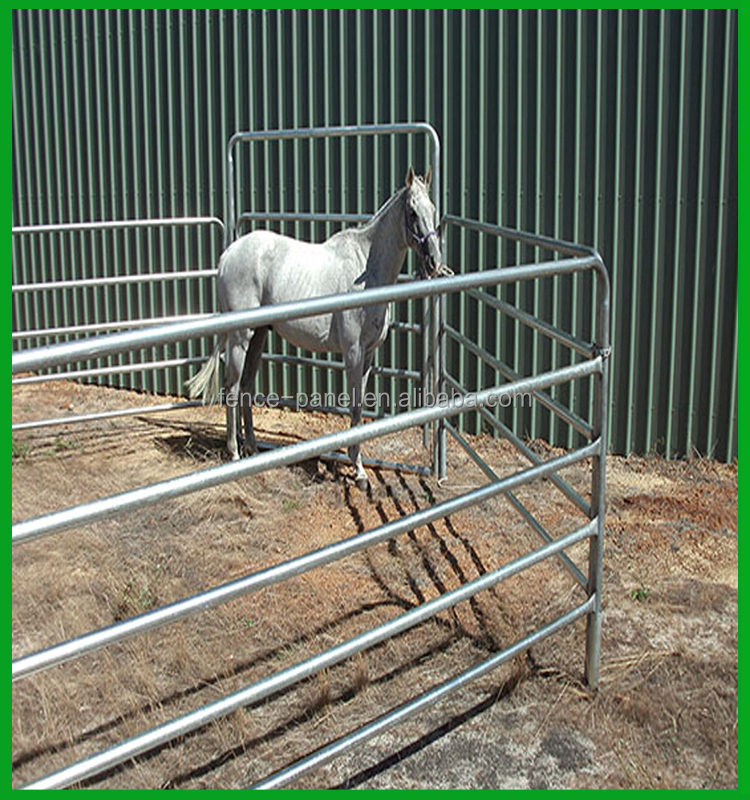 Horse Feeders Hay Racks Hay And Grain Feeders Buy Hay Grain