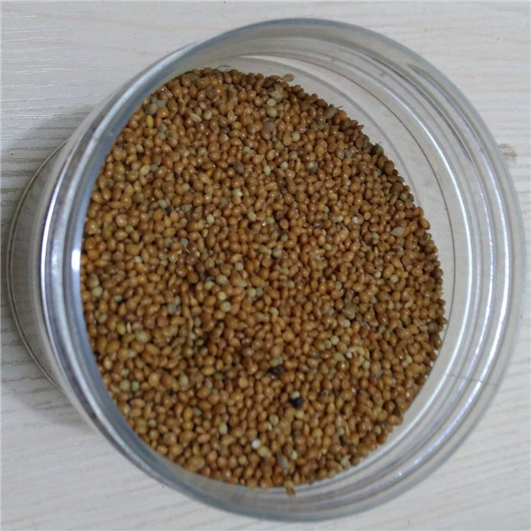 red millet