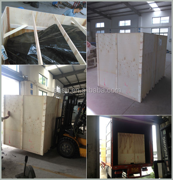 SGM080-3A-P/T Horizontal Flow Automatic Pillow Lollipop Candy Packaging Machinery