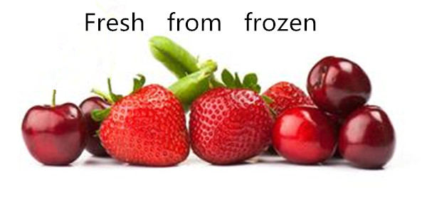 instant freezer/meat/food freezing machine 500kg/h
