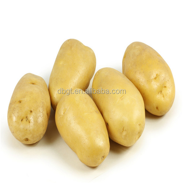 2014 Shaanxi new crop Fresh Potato in Various Package