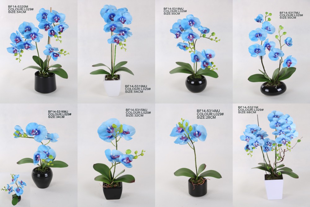 20" Silk Blue Color Real Touch Artificial Phalaenopsis Orchid Flowers