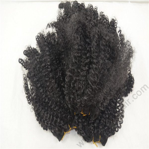 human hair.JPG
