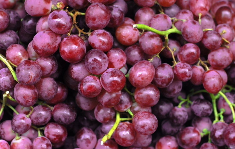 Grape Seed Extract Powder