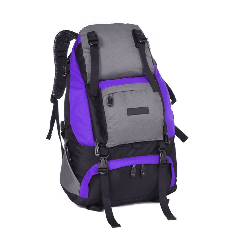 Bx105-C-C14-7-Purple