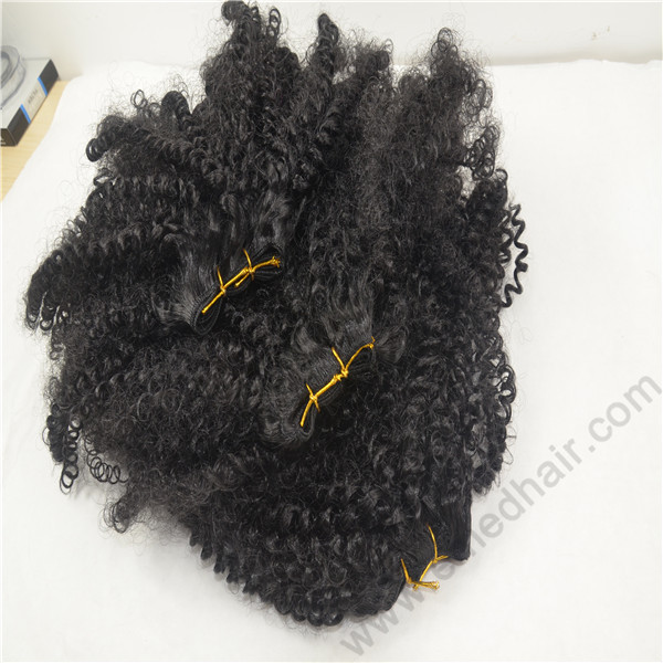 hairs.JPG