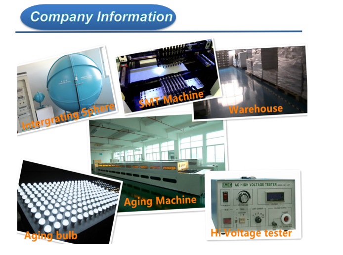 Company information.png