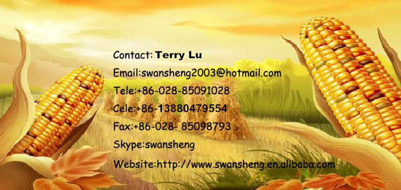 We Are Yellow Maize Corn Exporters Sell 100% Native Maize Starch/Buckwheat Corn Starch Cheap Prices
