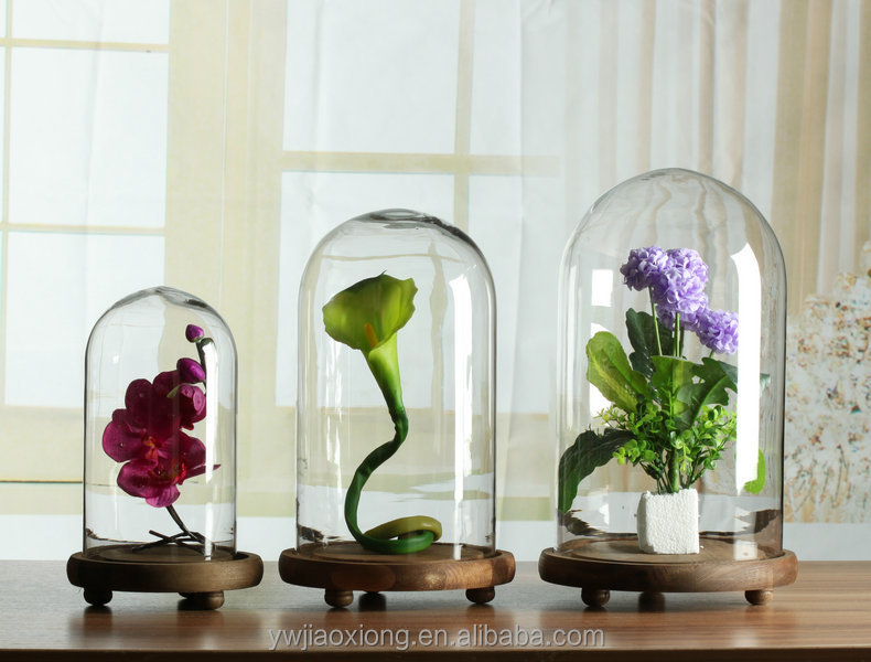 明確な装飾ベルジャードーム付きグラス木材地階の植物の花のための仕入れ・メーカー・工場
