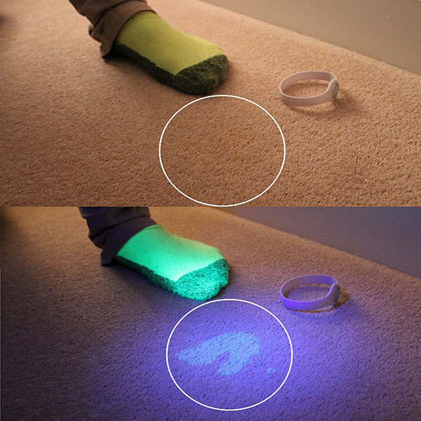 365nmのでは紫外線12 led uv懐中電灯でブリスター包装仕入れ・メーカー・工場