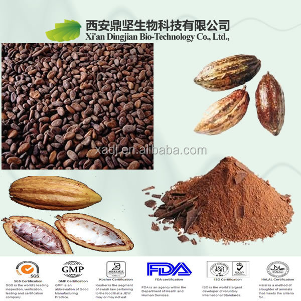 Cocoa seed extract powder,natural cocoa extract,cocoa seed extract