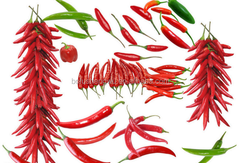liquid pepper extract/cayenne pepper extract/black pepper extract powder