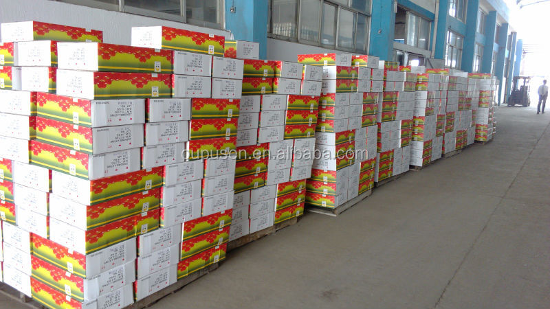 In Drum In Canned Tomato paste