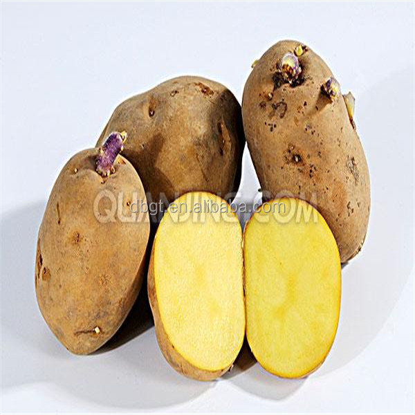 2014 new fresh artificial potato of high quality