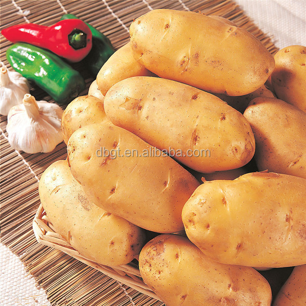 Common types fresh potato