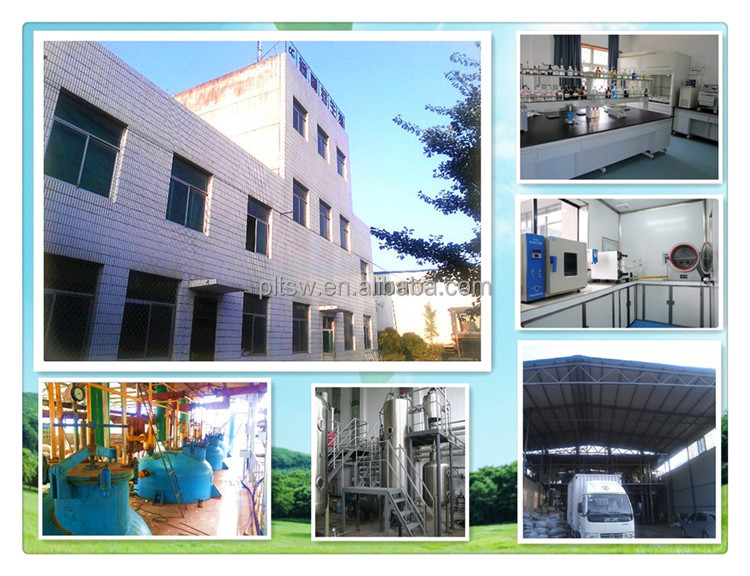 Factories supplying Cocoa Seed Extract Powder