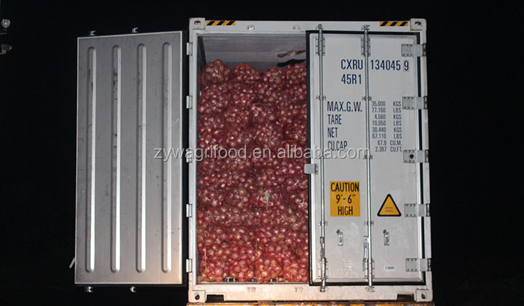 2014 fresh red onion china wholesale