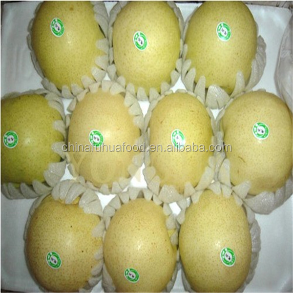 Ya Pear Aisian Pear