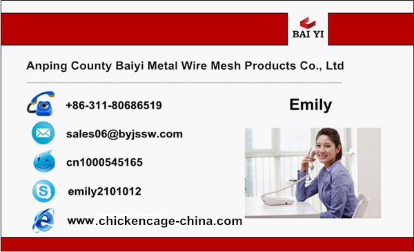 business card_Emily_