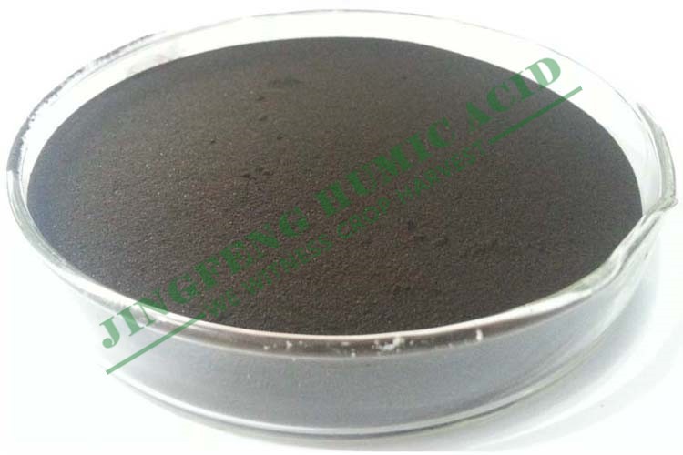 Fulvic Acid Power
