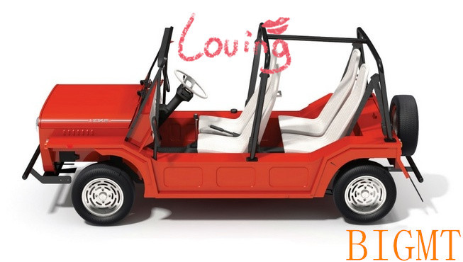 mini-moke-4_653_.jpg