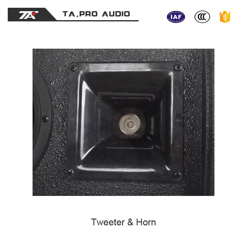 tweeter and horn.jpg