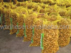 bulk new crop fresh ginger in China