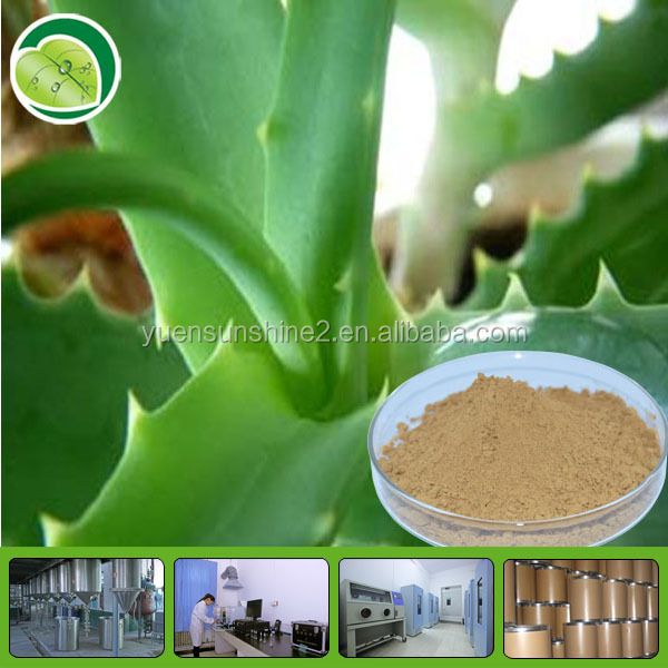 low price and high quality 100% natural plant extract aloe vera extract powder