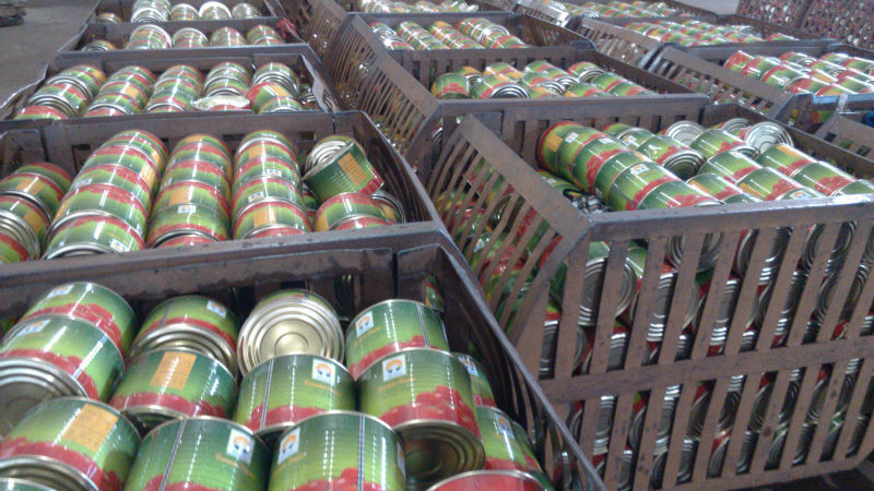 Fresh Tomato Sauce