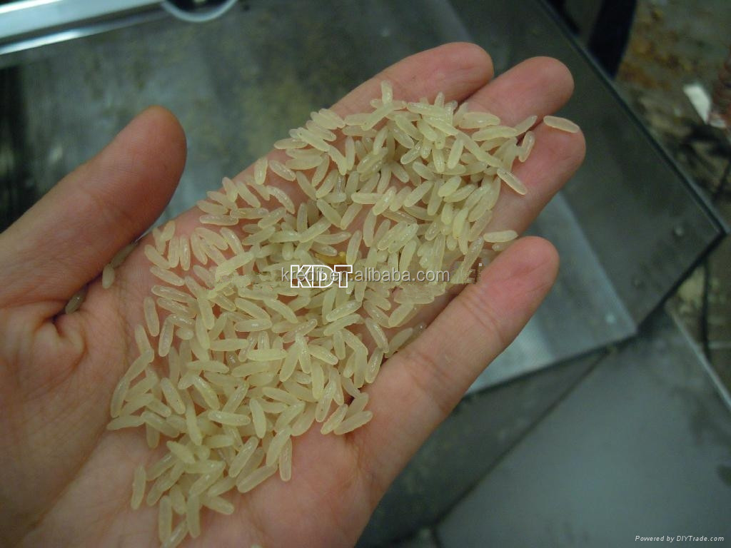 Golden Rice Processing Line/Artificial Rice Extruder/Automatic Fortified Rice Extruder