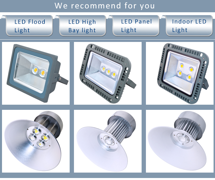 LED Spike Light