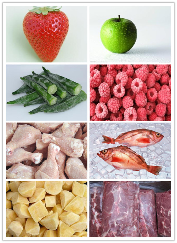 instant freezer/meat/food freezing machine 500kg/h