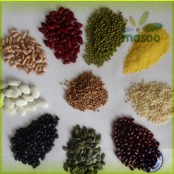 2014 New Crop High Quality Shandong Fresh Yellow Onion