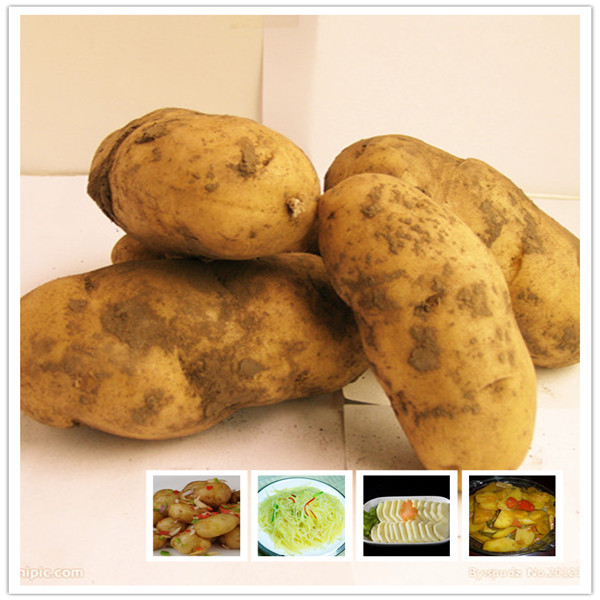 Specifications complete quality potatoes