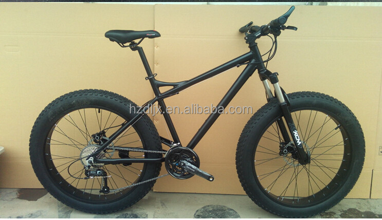 fat bike 2.jpg