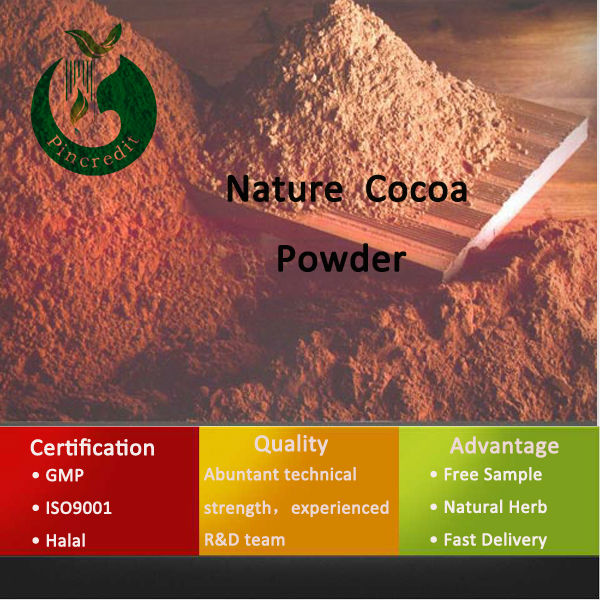 Alkalized cocoa powder cocoa powder natural cocoa powder