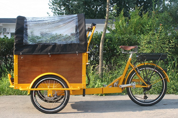 Adult Pedal Two Wheel Cheap Cargo Bike Manufacturer